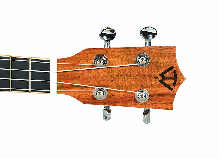 Aurora Headstock 1 copy