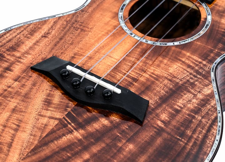 Koa 2.0 4