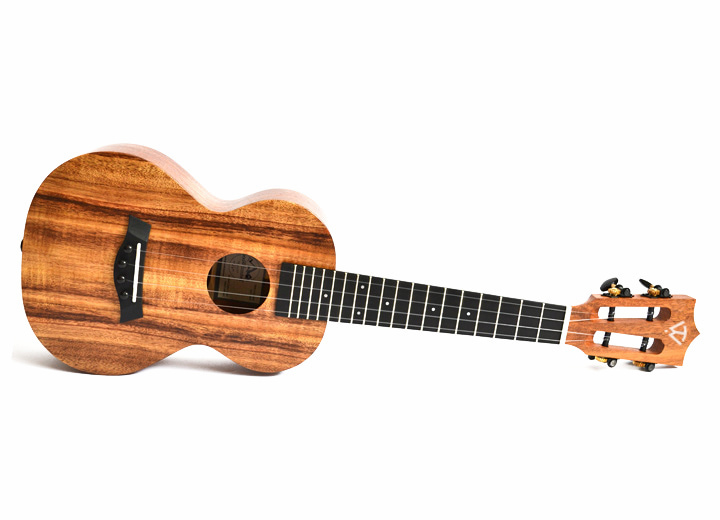 Koa-1st-image-2 copy