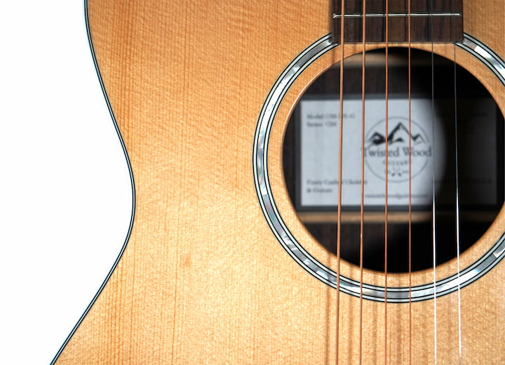 OM Guitar Rosette Web