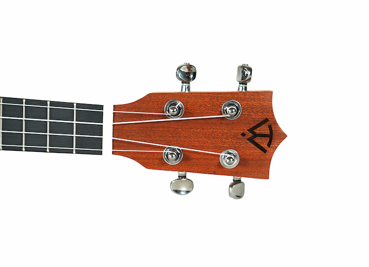 Pioneer Headstock 2 copy