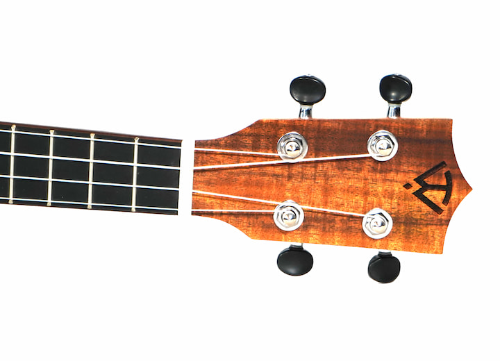 Sierra Headstock 1 copy