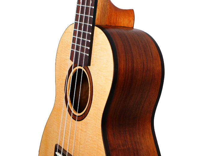 Spruce Pro 14 2