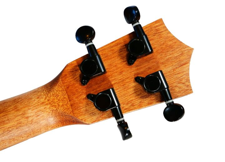Spruce Pro 11 2