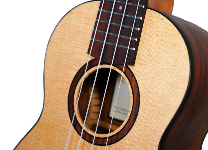 Spruce Pro 5 2