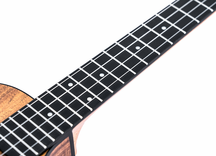 Switchback 5