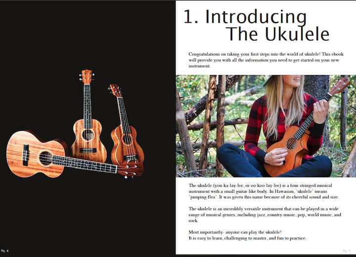 Ebook Web 2 copy