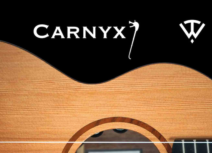 Carnyx blog (1)