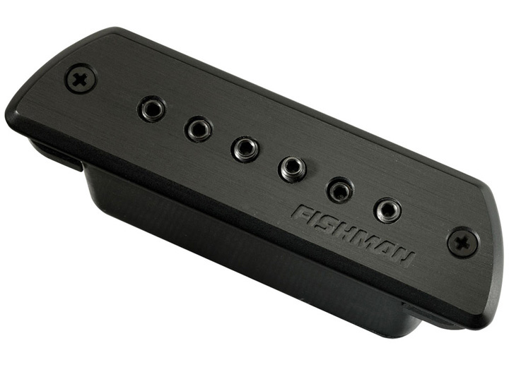 Weissenborn Pickups